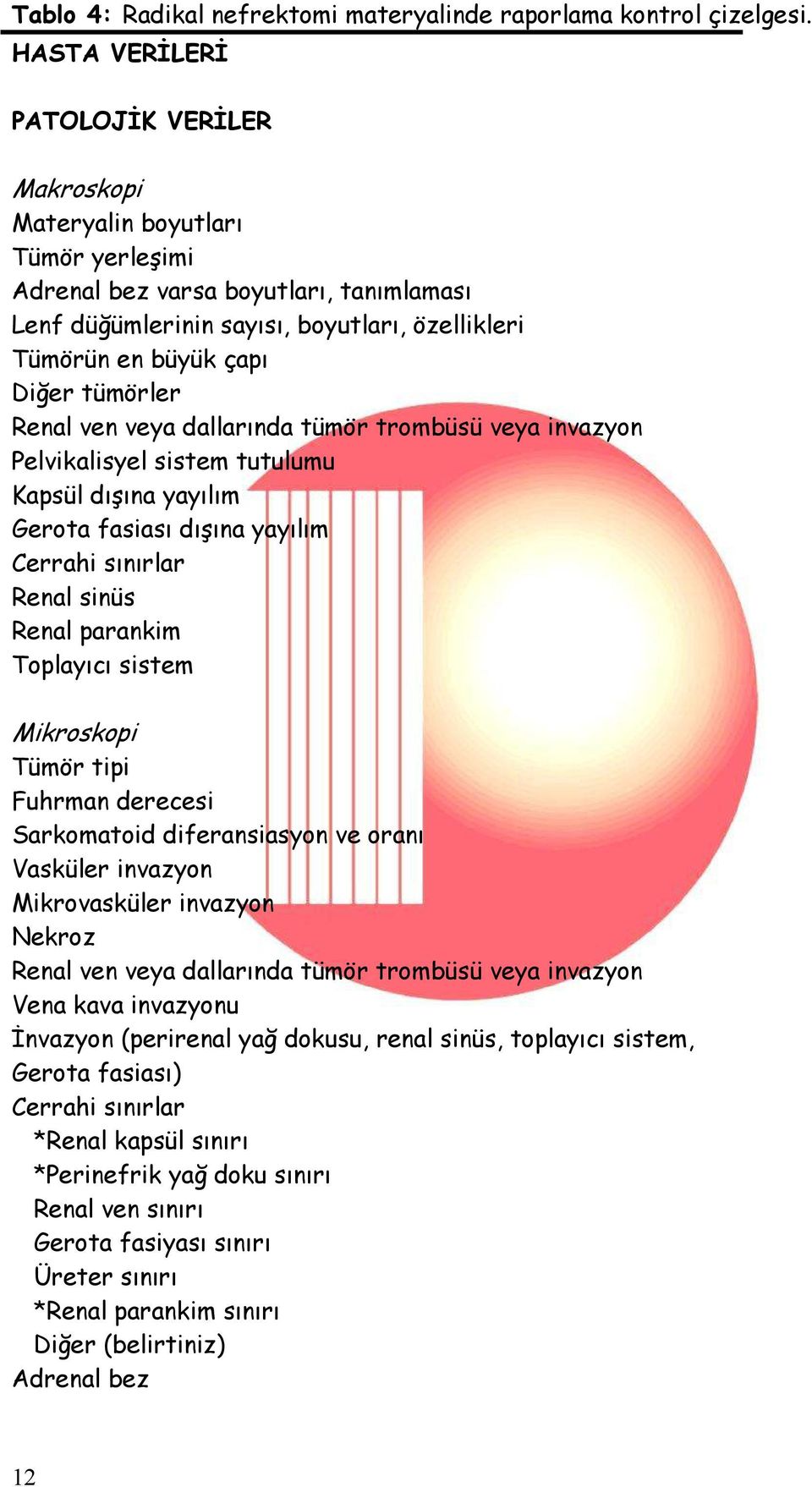 tümörler Renal ven veya dallarında tümör trombüsü veya invazyon Pelvikalisyel sistem tutulumu Kapsül dışına yayılım Gerota fasiası dışına yayılım Cerrahi sınırlar Renal sinüs Renal parankim Toplayıcı