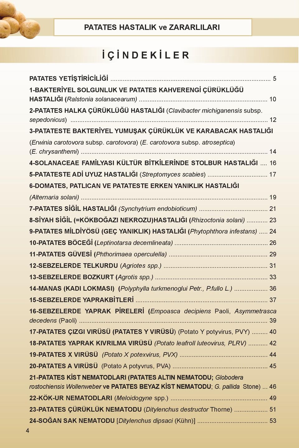 carotovora subsp. atroseptica) (E. chrysanthemi)... 14 4-SOLANACEAE FAMİLYASI KÜLTÜR BİTKİLERİNDE STOLBUR HASTALIĞI... 16 5-PATATESTE ADİ UYUZ HASTALIĞI (Streptomyces scabies).