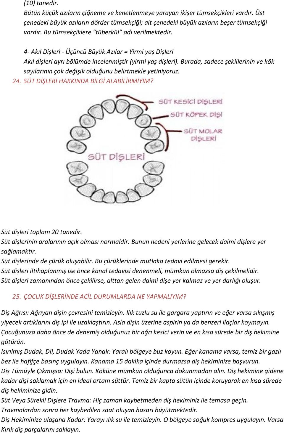 Burada, sadece şekillerinin ve kök sayılarının çok değişik olduğunu belirtmekle yetiniyoruz. 24. SÜT DİŞLERİ HAKKINDA BİLGİ ALABİLİRMİYİM? Süt dişleri toplam 20 tanedir.