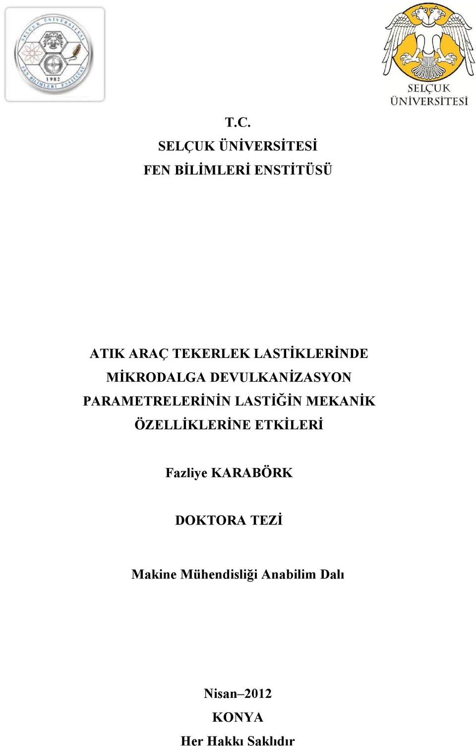 LASTİĞİN MEKANİK ÖZELLİKLERİNE ETKİLERİ Fazliye KARABÖRK DOKTORA