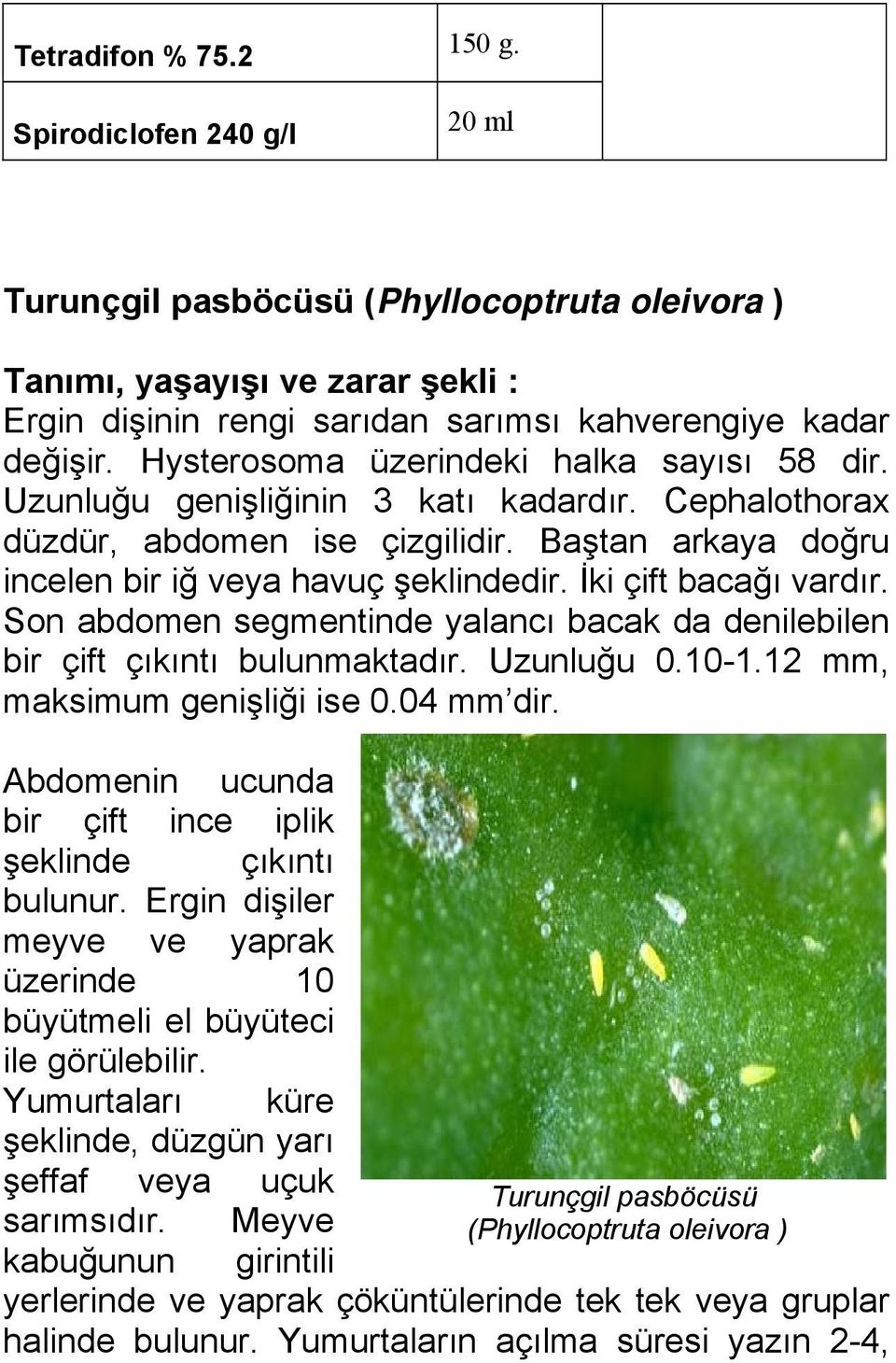 İki çift bacağı vardır. Son abdomen segmentinde yalancı bacak da denilebilen bir çift çıkıntı bulunmaktadır. Uzunluğu 0.10-1.12 mm, maksimum genişliği ise 0.04 mm dir.