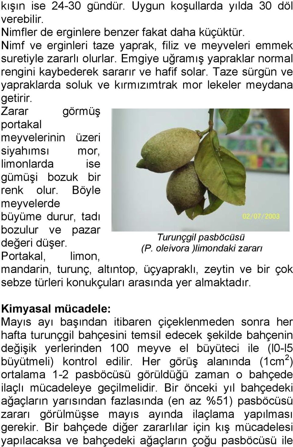 Zarar görmüş portakal meyvelerinin üzeri siyahımsı mor, limonlarda ise gümüşi bozuk bir renk olur. Böyle meyvelerde büyüme durur, tadı bozulur ve pazar değeri düşer. Turunçgil pasböcüsü (P.