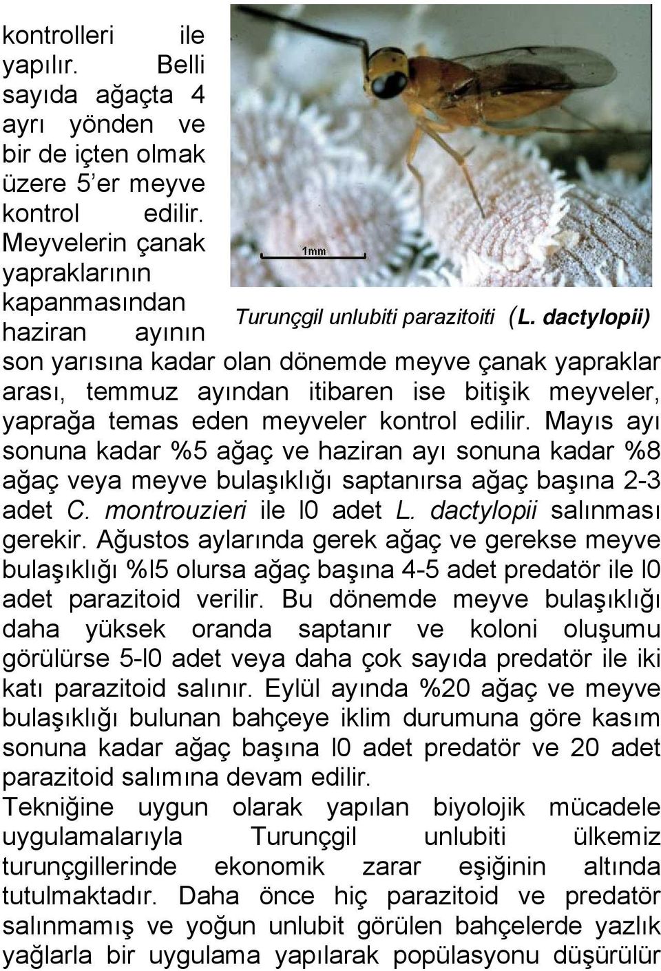 Mayıs ayı sonuna kadar %5 ağaç ve haziran ayı sonuna kadar %8 ağaç veya meyve bulaşıklığı saptanırsa ağaç başına 2-3 adet C. montrouzieri ile l0 adet L. dactylopii salınması gerekir.