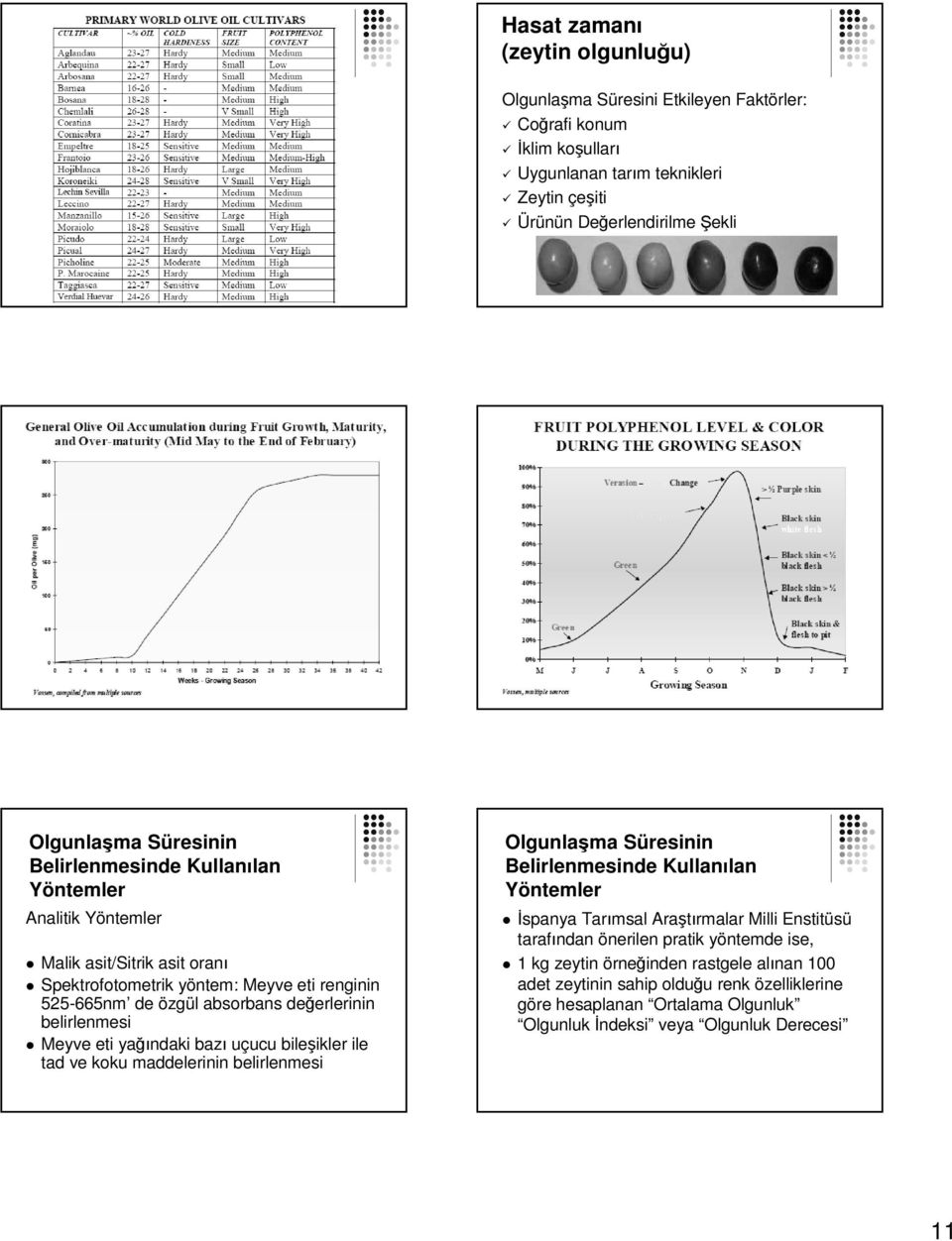 belirlenmesi Meyve eti yağındaki bazı uçucu bileşikler ile tad ve koku maddelerinin belirlenmesi Olgunlaşma Süresinin Belirlenmesinde Kullanılan Yöntemler İspanya Tarımsal Araştırmalar Milli