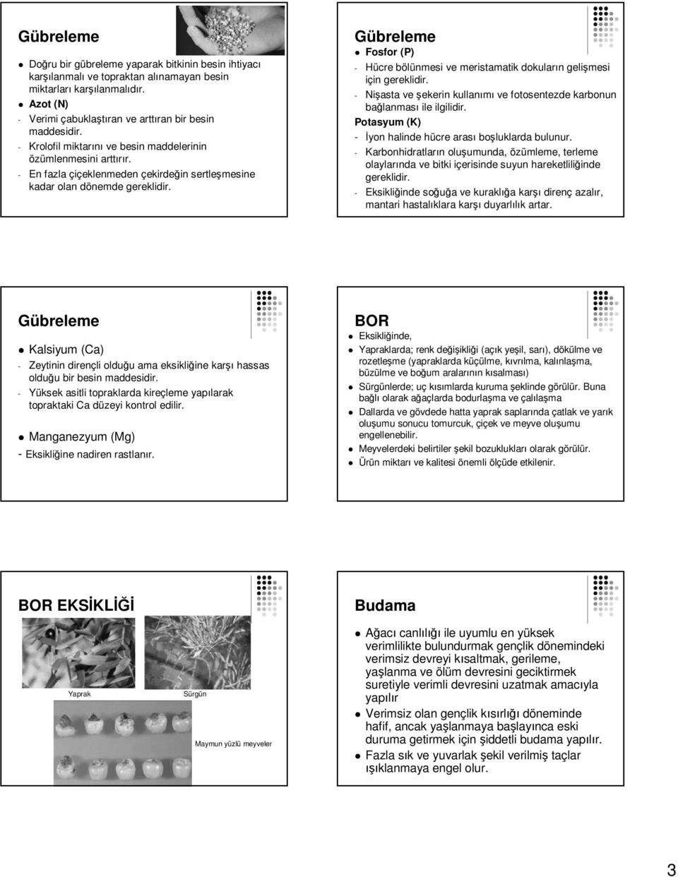 Gübreleme Fosfor (P) - Hücre bölünmesi ve meristamatik dokuların gelişmesi için gereklidir. - Nişasta ve şekerin kullanımı ve fotosentezde karbonun bağlanması ile ilgilidir.