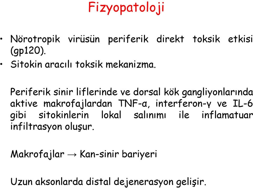 Periferik sinir liflerinde ve dorsal kök gangliyonlarında aktive makrofajlardan TNF-α,