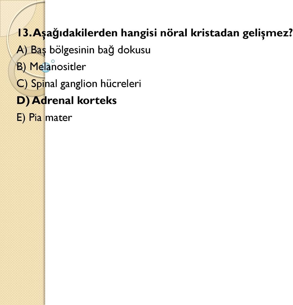 A) Baş bölgesinin bağ dokusu B)