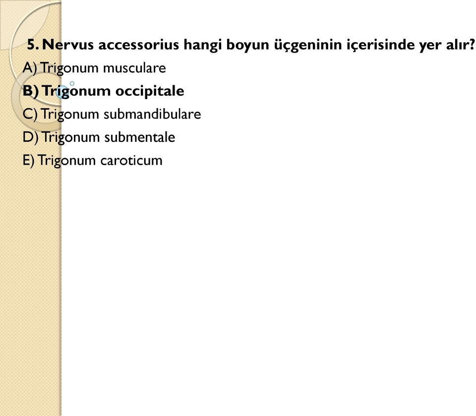 A) Trigonum musculare B) Trigonum occipitale