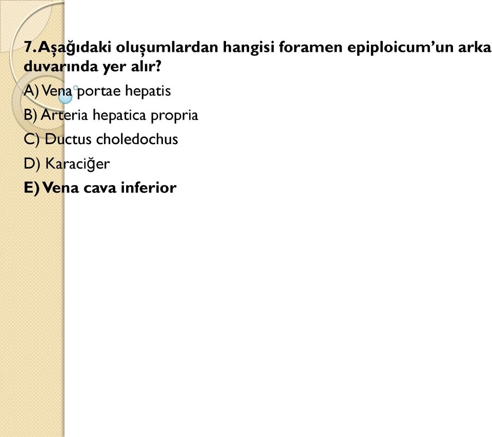 A) Vena portae hepatis B) Arteria hepatica