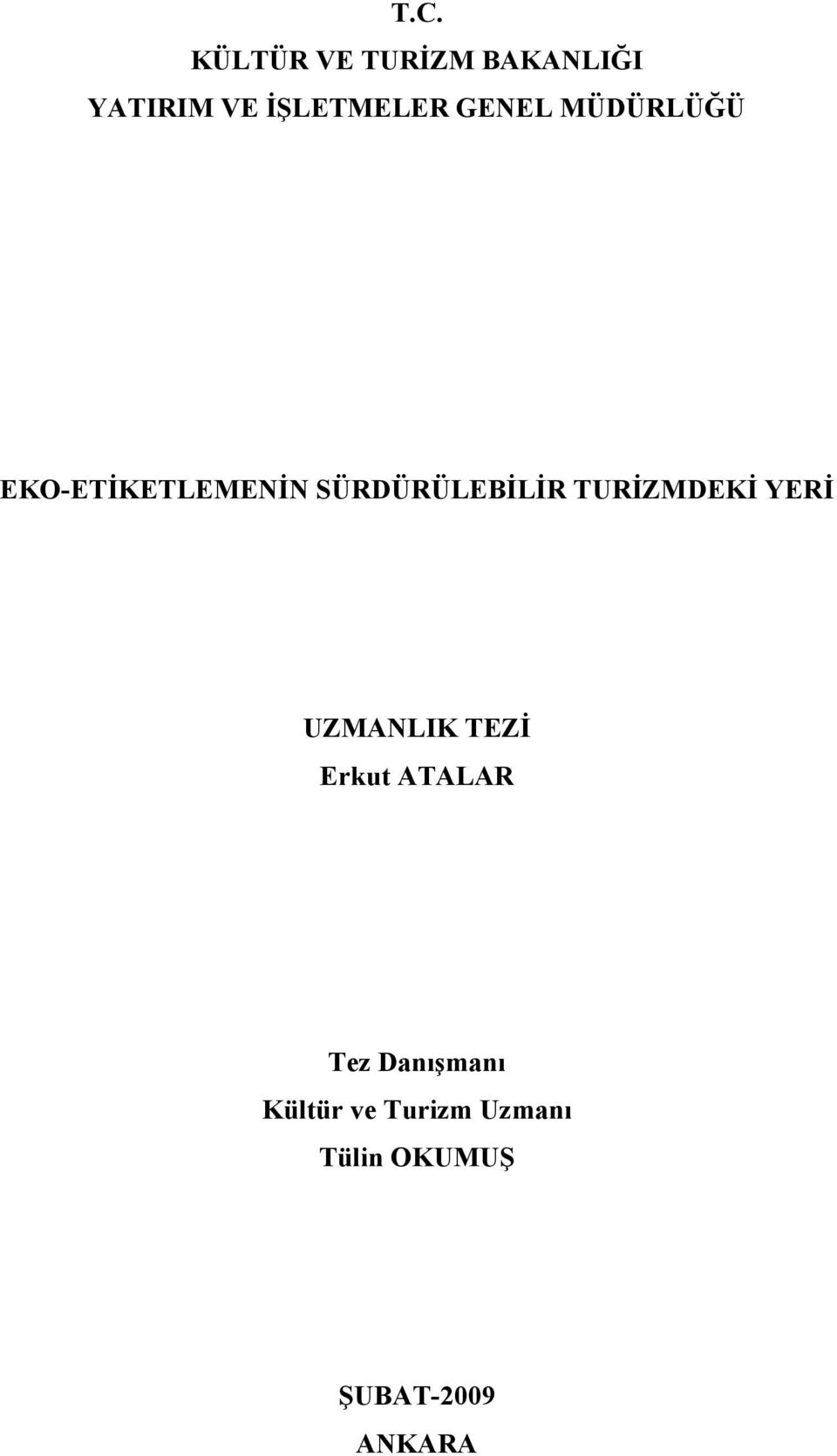 TURİZMDEKİ YERİ UZMANLIK TEZİ Erkut ATALAR Tez