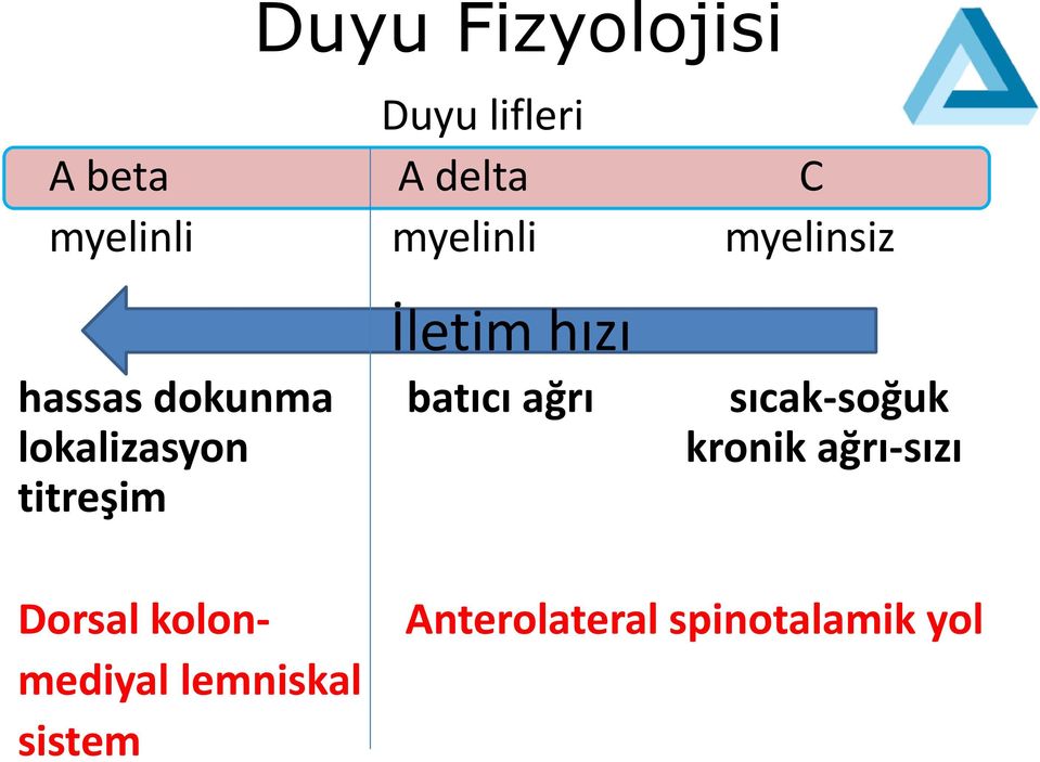 sıcak-soğuk lokalizasyon kronik ağrı-sızı titreşim Dorsal