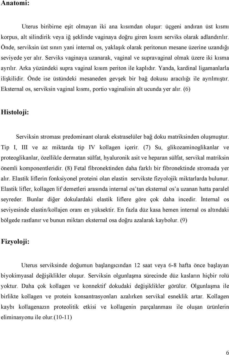 Arka yüzündeki supra vaginal kısım periton ile kaplıdır. Yanda, kardinal ligamanlarla ilişkilidir. Önde ise üstündeki mesaneden gevşek bir bağ dokusu aracılığı ile ayrılmıştır.