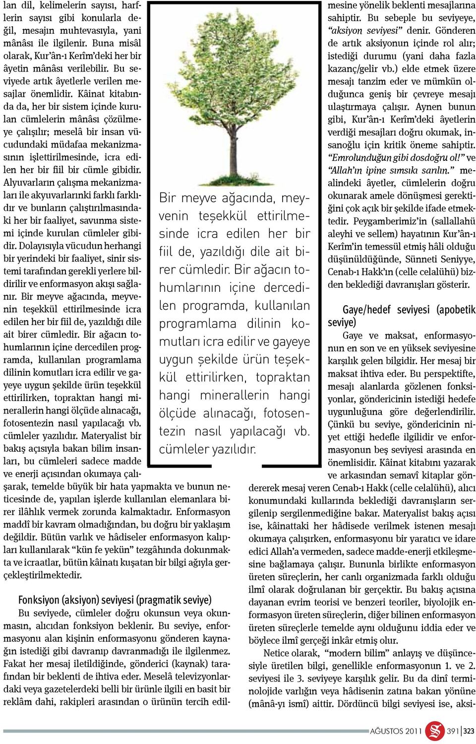 Kâinat kitabında da, her bir sistem içinde kurulan cümlelerin mânâsı çözülmeye çalışılır; meselâ bir insan vücudundaki müdafaa mekanizmasının işlettirilmesinde, icra edilen her bir fiil bir cümle