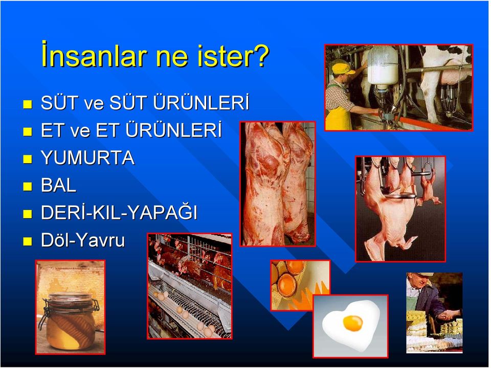 ET ve ET ÜRÜNLERİ YUMURTA