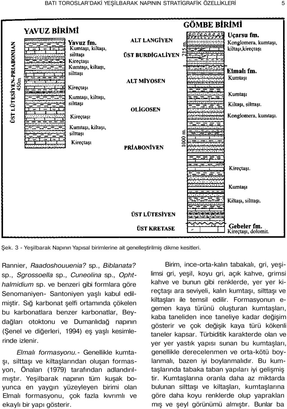 Sığ karbonat şelfi ortamında çökelen bu karbonatlara benzer karbonatlar, Beydağları otoktonu ve Dumanlıdağ napının (Şenel ve diğerleri, 1994) eş yaşlı kesimlerinde izlenir. Elmalı formasyonu.