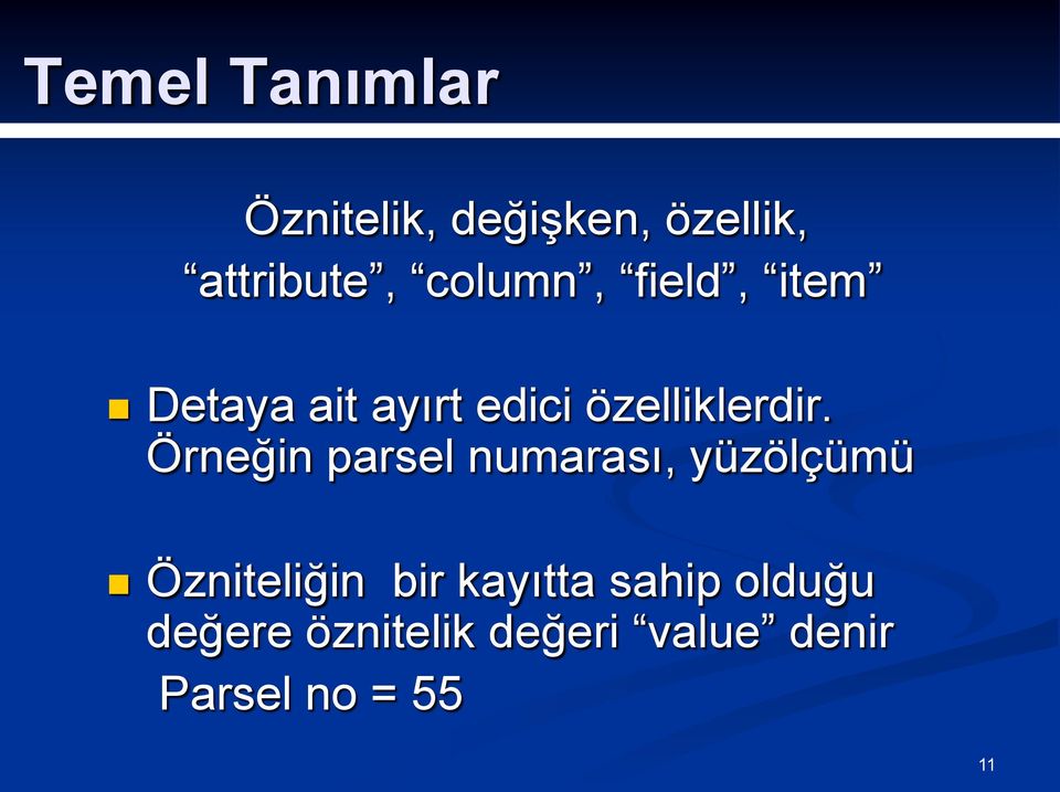 Örneğin parsel numarası, yüzölçümü Özniteliğin bir