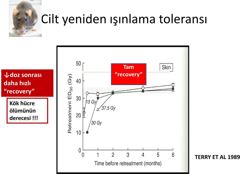 hızlı recovery Tam recovery