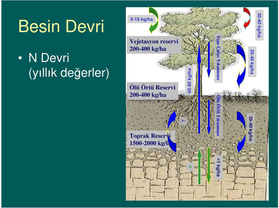 60-80 kg/ha Besin Devri N Devri (yıllık değerler) 5-15 kg/ha