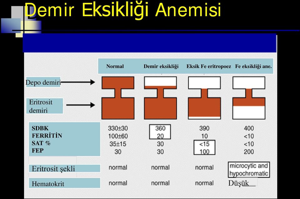 eksikliği ane.