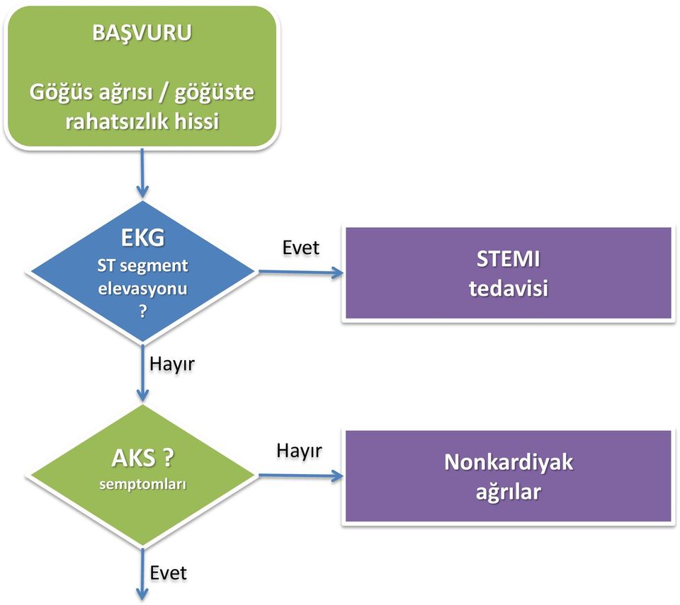 elevasyonu?