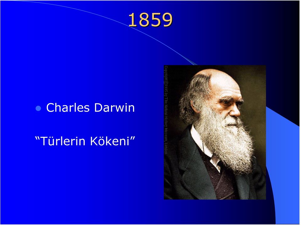 Darwin