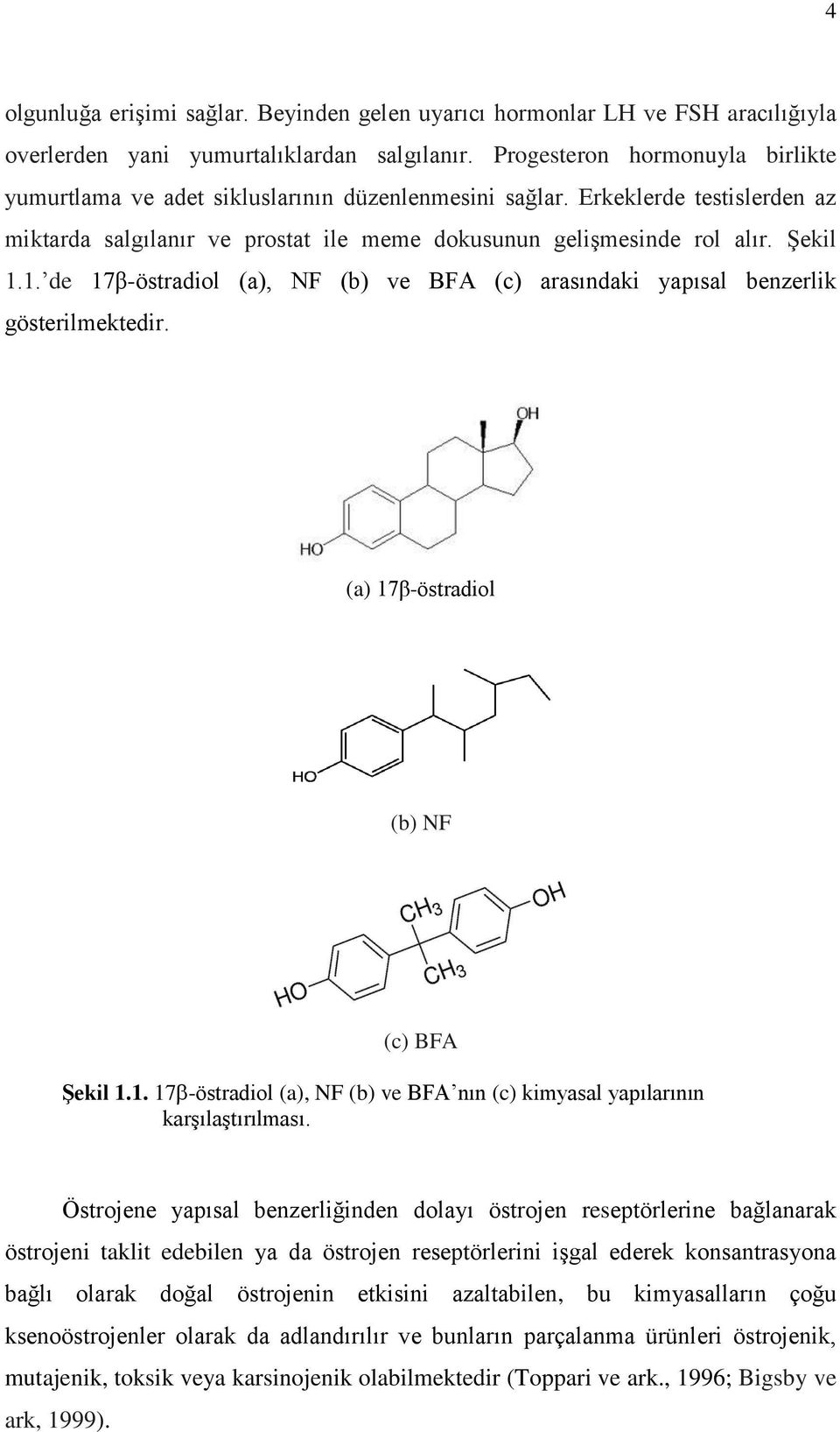 1. de 17β-östradiol (a), NF (b) ve BFA (c) arasındaki yapısal benzerlik gösterilmektedir. (a) 17β-östradiol (b) NF (c) BFA Şekil 1.1. 17 -östradiol (a), NF (b) ve BFA nın (c) kimyasal yapılarının karşılaştırılması.