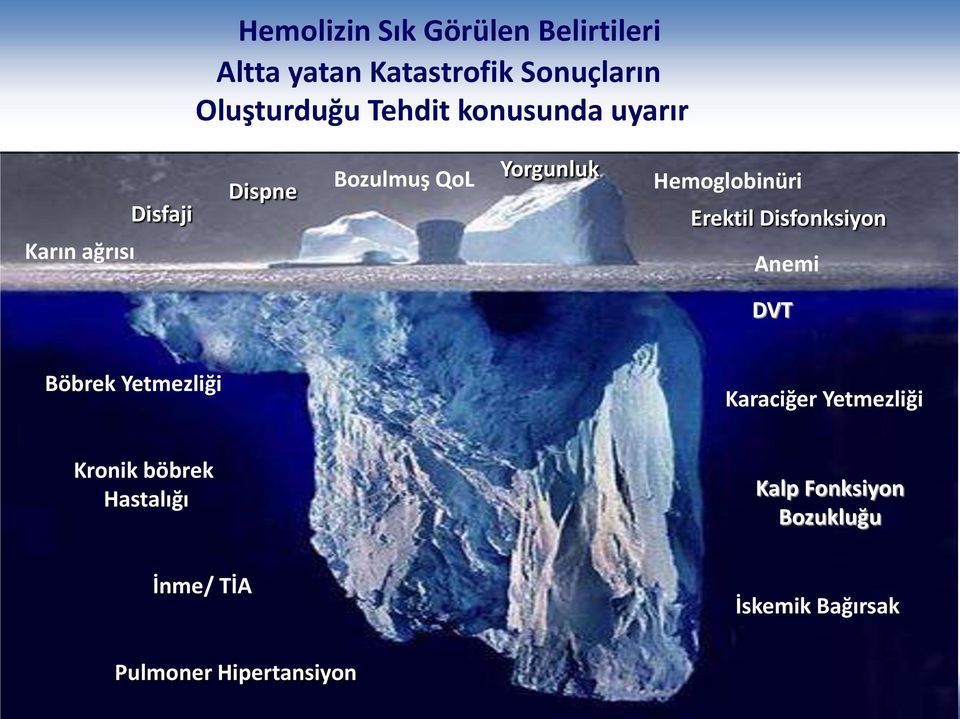 Disfonksiyon Anemi DVT Böbrek Yetmezliği Karaciğer Yetmezliği Kronik böbrek Hastalığı Kalp