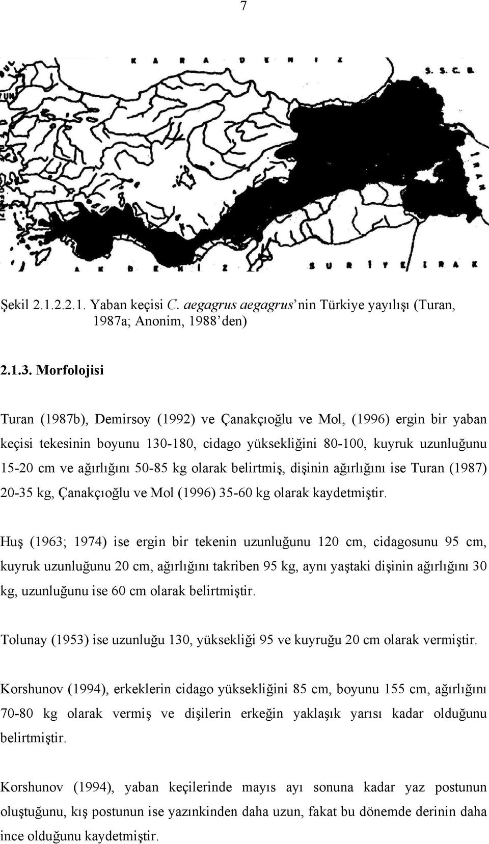 olarak belirtmiş, dişinin ağırlığını ise Turan (1987) 20-35 kg, Çanakçıoğlu ve Mol (1996) 35-60 kg olarak kaydetmiştir.