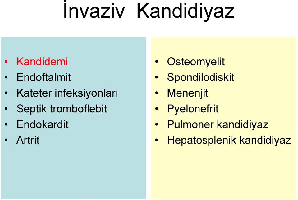 Artrit Osteomyelit Spondilodiskit Menenjit