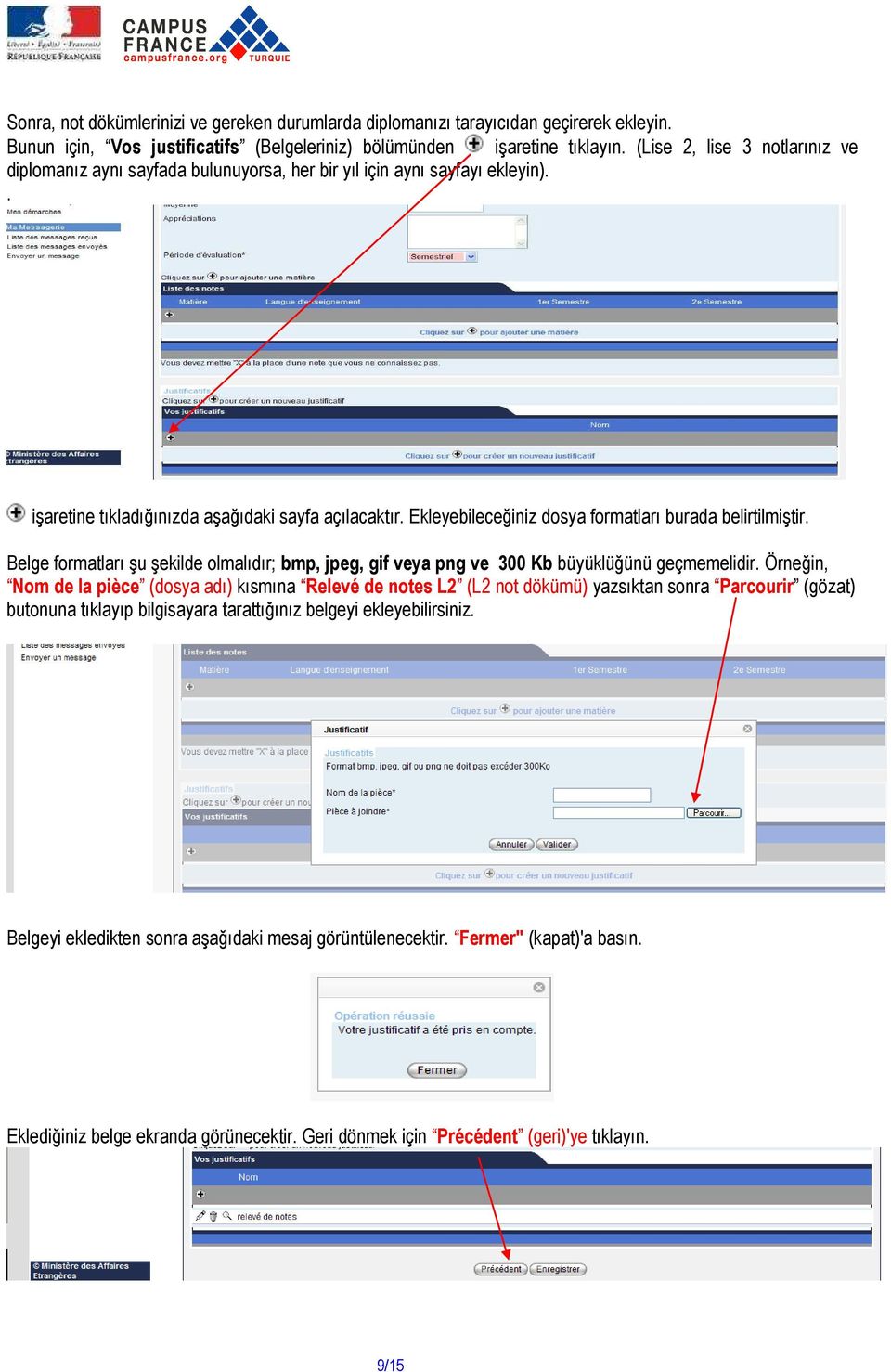 Ekleyebileceğiniz dosya formatları burada belirtilmiştir. Belge formatları şu şekilde olmalıdır; bmp, jpeg, gif veya png ve 300 Kb büyüklüğünü geçmemelidir.