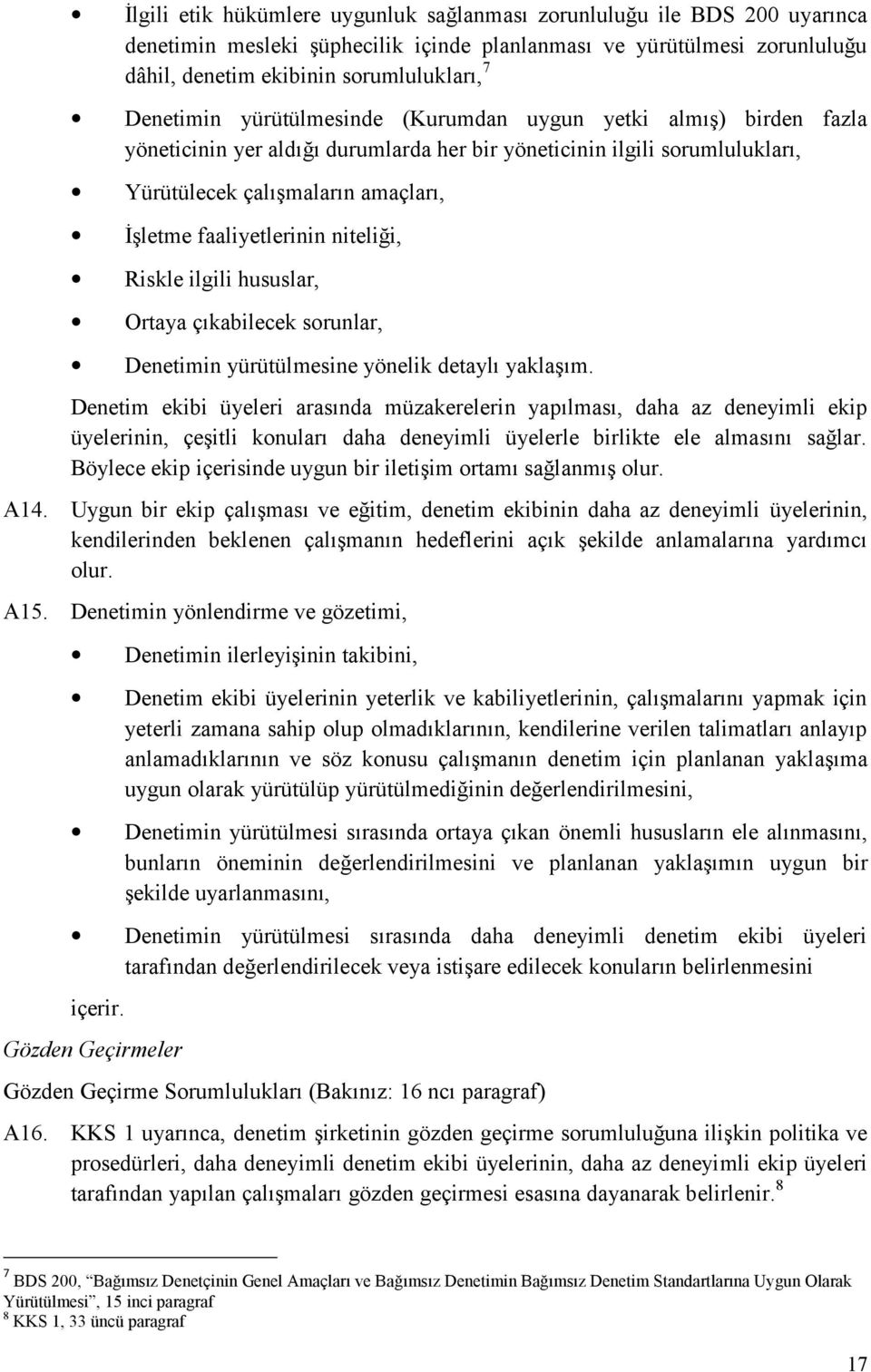 faaliyetlerinin niteliği, Riskle ilgili hususlar, Ortaya çıkabilecek sorunlar, Denetimin yürütülmesine yönelik detaylı yaklaşım.