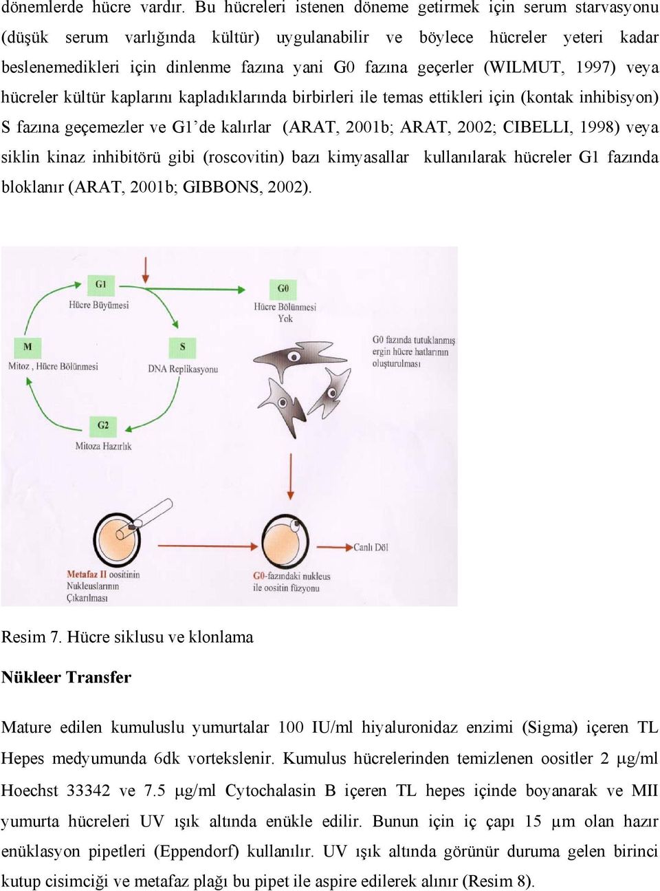 geçerler (WILMUT, 1997) veya hücreler kültür kaplarını kapladıklarında birbirleri ile temas ettikleri için (kontak inhibisyon) S fazına geçemezler ve G1 de kalırlar (ARAT, 2001b; ARAT, 2002; CIBELLI,