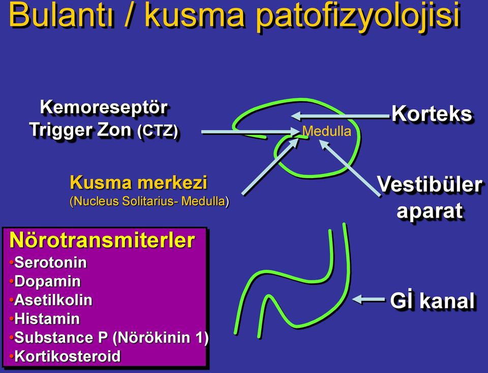 Nörotransmiterler Serotonin Dopamin Asetilkolin Histamin