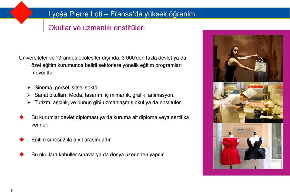 Sanat okulları: Moda, tasarım, iç mimarlık, grafik, animasyon. Turizm, aşçılık, ve bunun gibi uzmanlaşmış okul ya da enstitüler.