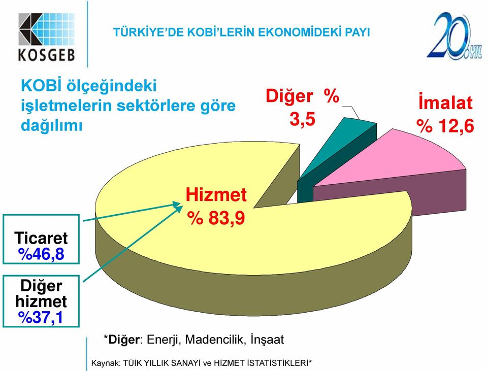 Ticaret %46,8 Diğer hizmet %37,1 Hizmet % 83,9 *Diğer: Enerji,