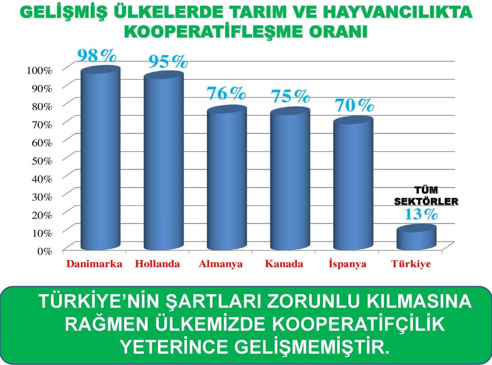 Danimarka Hollanda Almanya Kanada İspanya Türkiye TÜRKİYE NİN ŞARTLARI