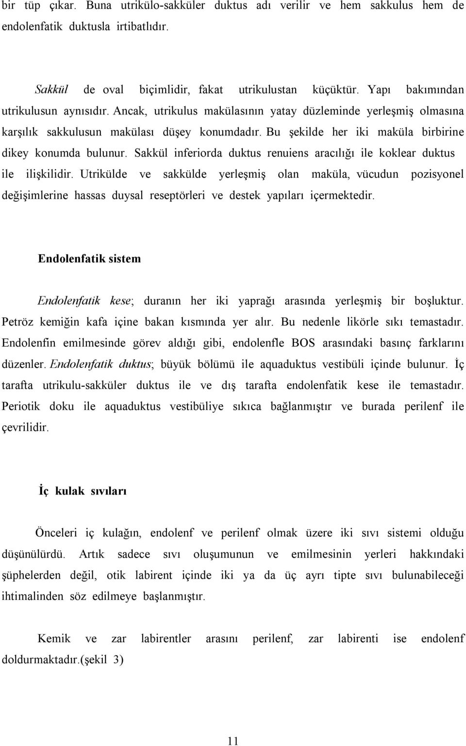 Bu şekilde her iki maküla birbirine dikey konumda bulunur. Sakkül inferiorda duktus renuiens aracõlõğõ ile koklear duktus ile ilişkilidir.