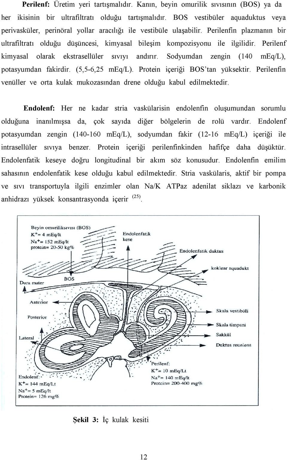 Perilenf kimyasal olarak ekstrasellüler sõvõyõ andõrõr. Sodyumdan zengin (140 meq/l), potasyumdan fakirdir. (5,5-6,25 meq/l). Protein içeriği BOS tan yüksektir.