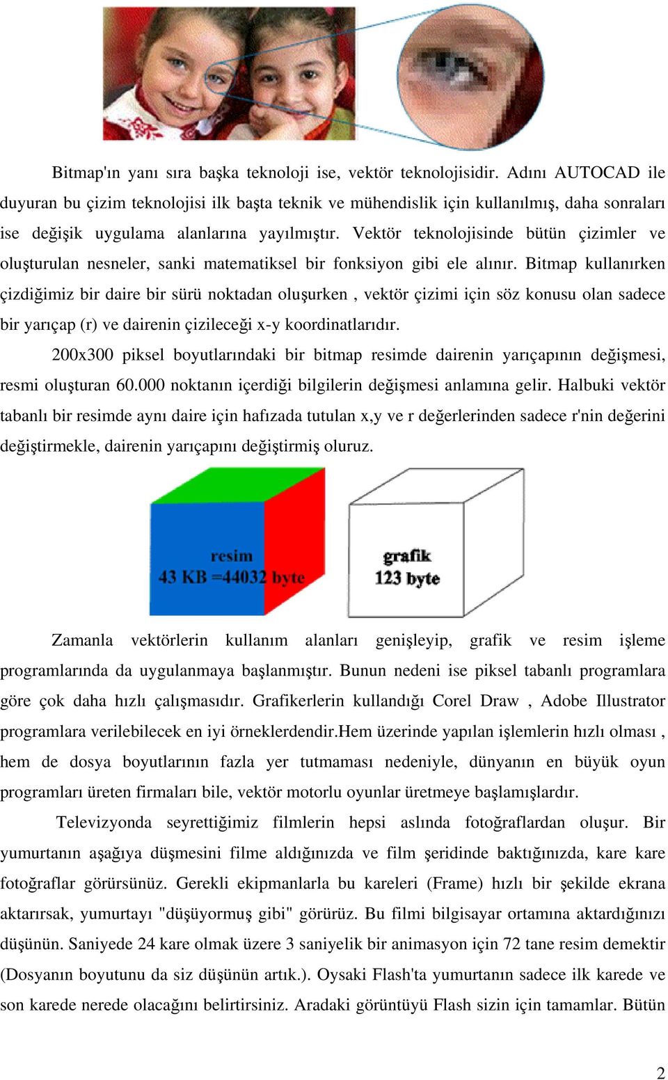 Vektör teknolojisinde bütün çizimler ve oluşturulan nesneler, sanki matematiksel bir fonksiyon gibi ele alınır.