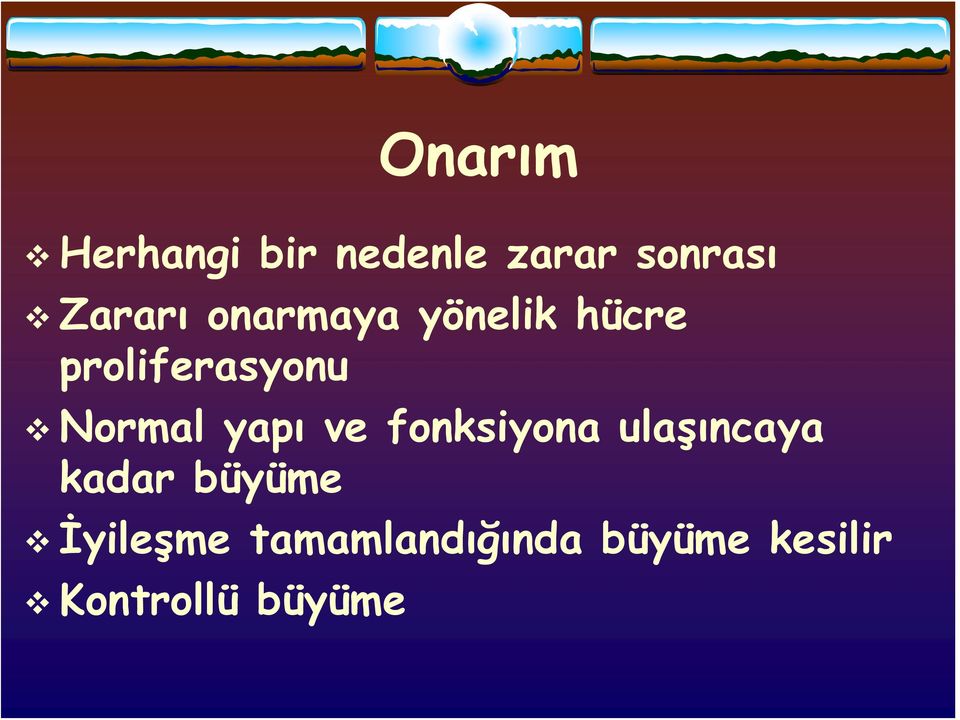 yapı ve fonksiyona ulaşıncaya kadar büyüme