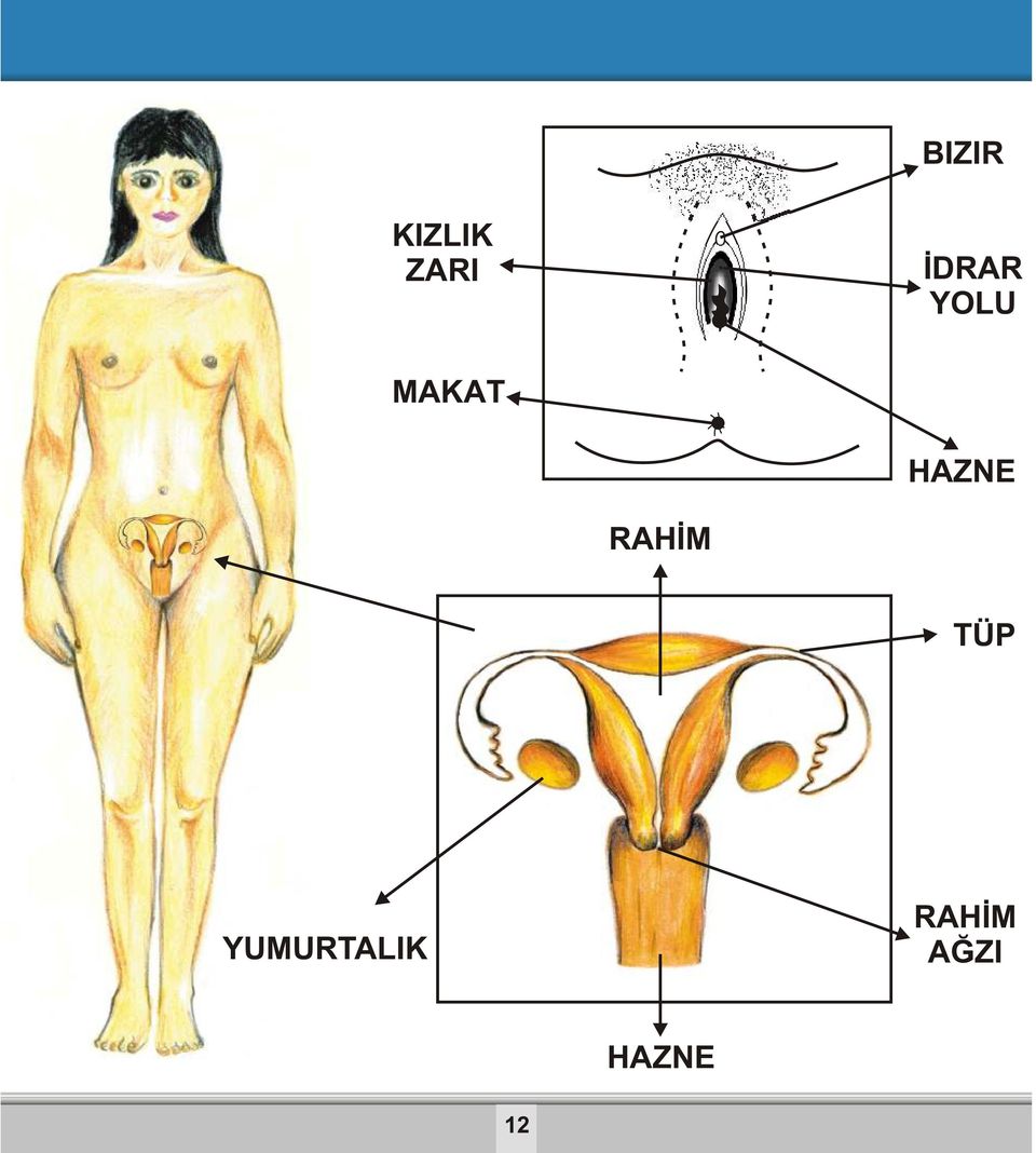 HAZNE RAHİM TÜP