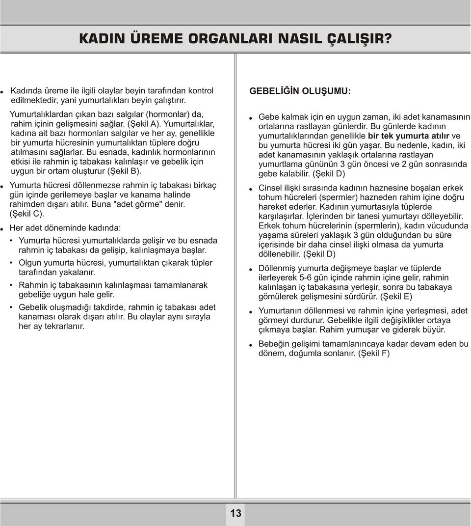 Yumurtalıklar, kadına ait bazı hormonları salgılar ve her ay, genellikle bir yumurta hücresinin yumurtalıktan tüplere doğru atılmasını sağlarlar.