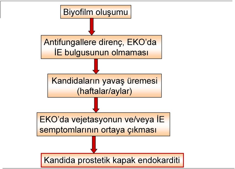 (haftalar/aylar) EKO da vejetasyonun ve/veya İE