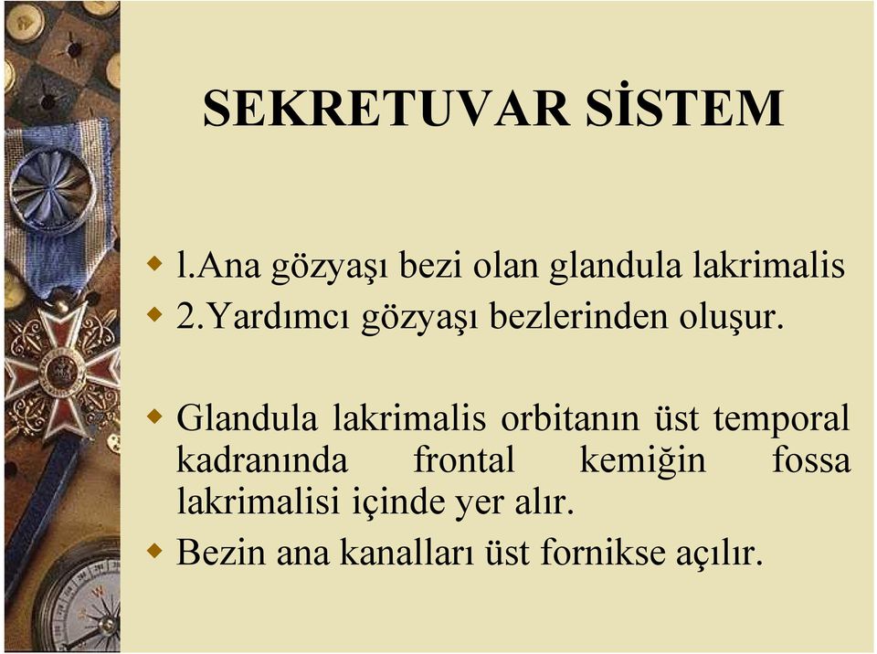 Yardımcı gözyaşı bezlerinden oluşur.