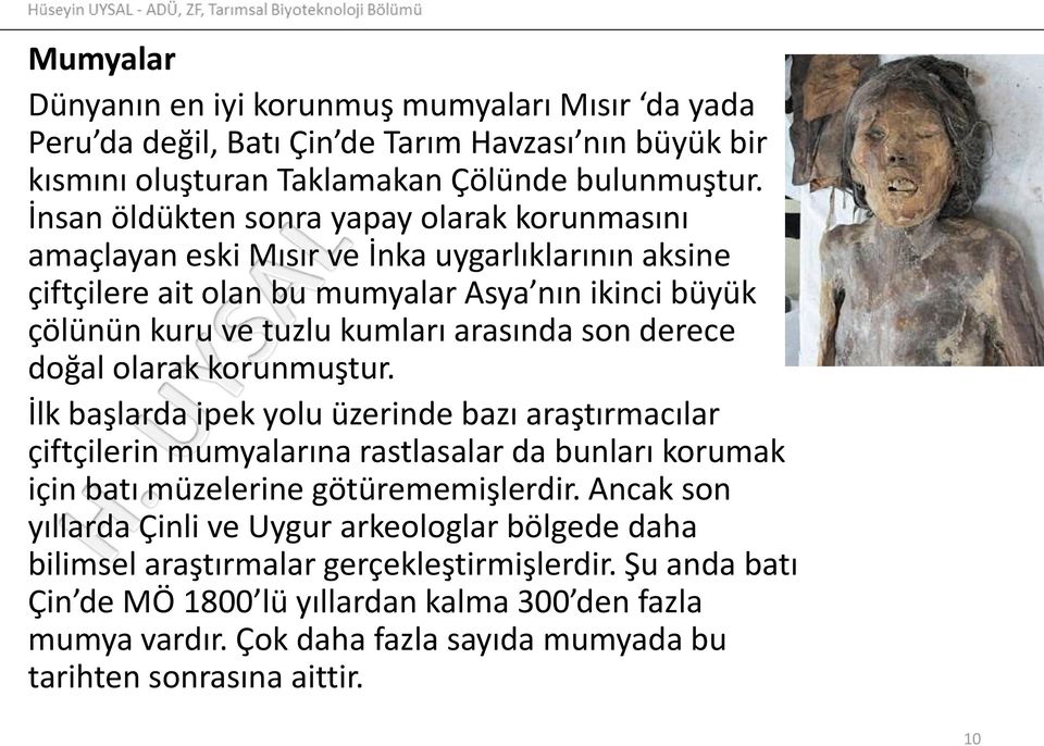 derece doğal olarak korunmuştur. İlk başlarda ipek yolu üzerinde bazı araştırmacılar çiftçilerin mumyalarına rastlasalar da bunları korumak için batı müzelerine götürememişlerdir.