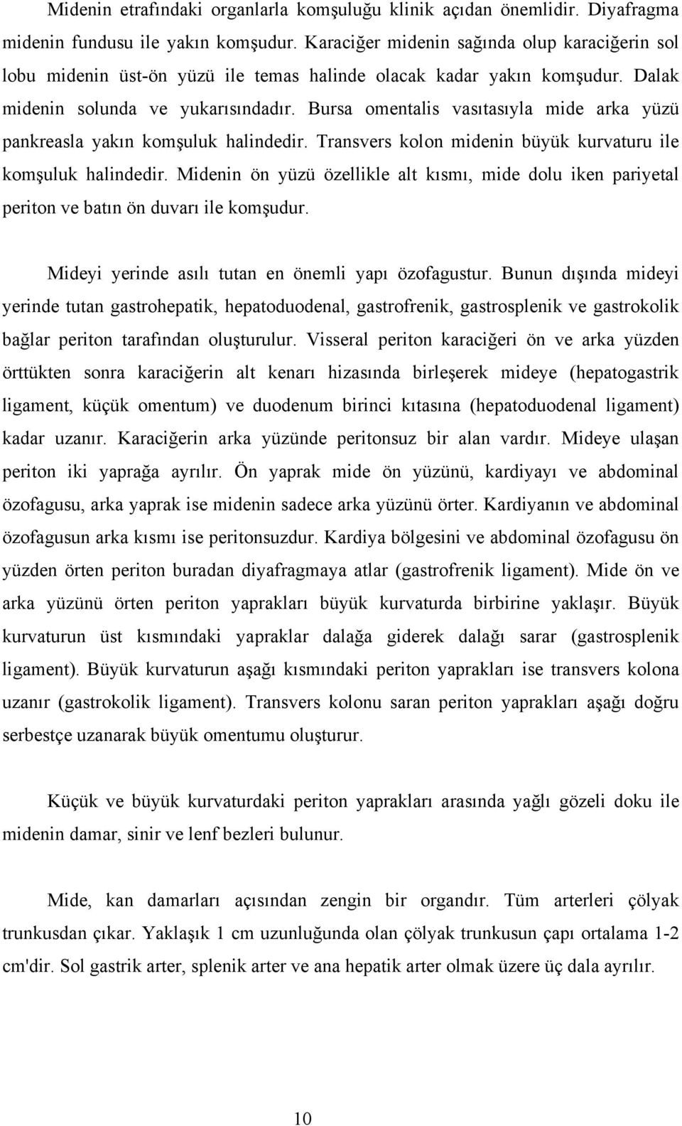 Bursa omentalis vasıtasıyla mide arka yüzü pankreasla yakın komşuluk halindedir. Transvers kolon midenin büyük kurvaturu ile komşuluk halindedir.