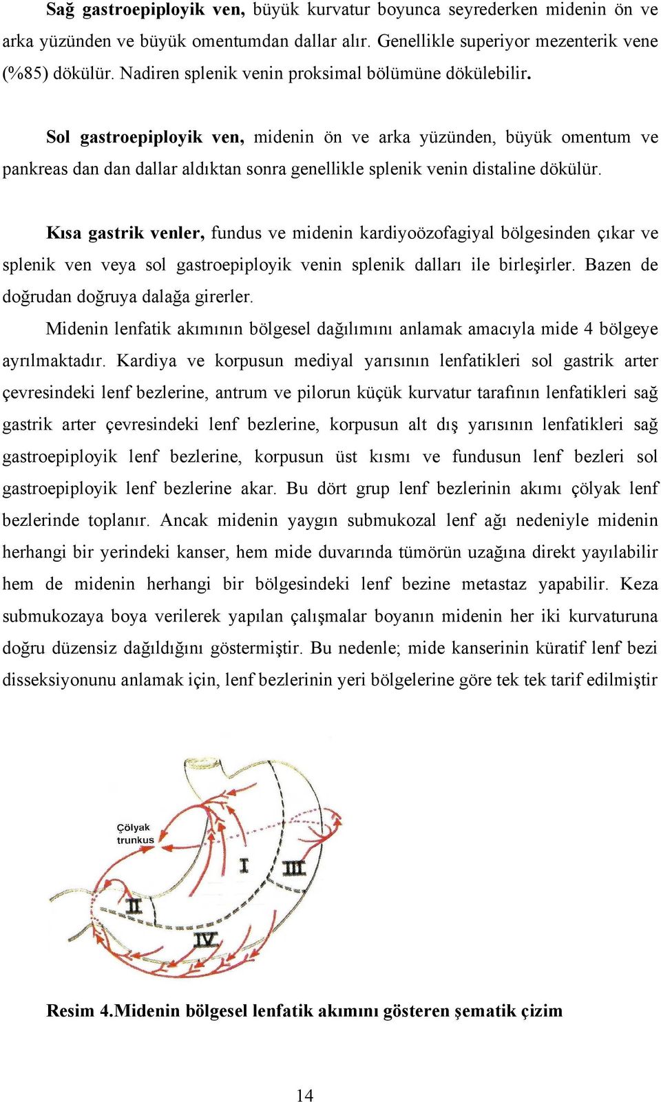 Sol gastroepiployik ven, midenin ön ve arka yüzünden, büyük omentum ve pankreas dan dan dallar aldıktan sonra genellikle splenik venin distaline dökülür.