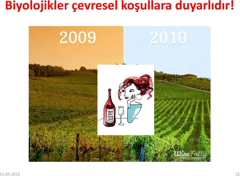 koşullara