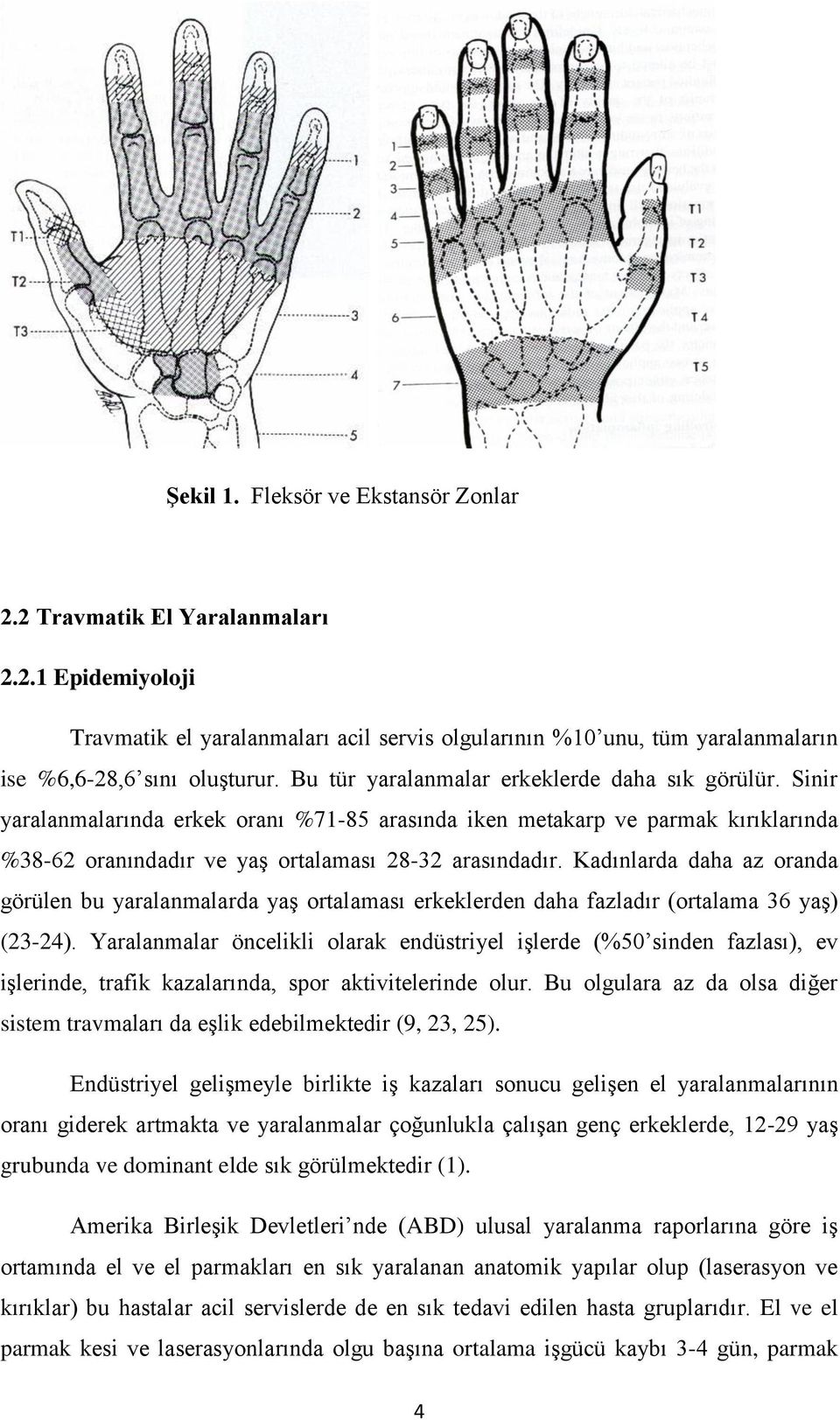 Kadınlarda daha az oranda görülen bu yaralanmalarda yaş ortalaması erkeklerden daha fazladır (ortalama 36 yaş) (23-24).