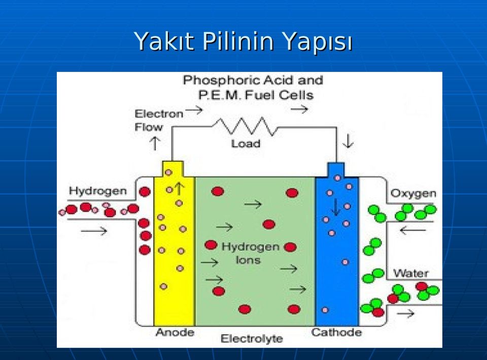 Yapısı